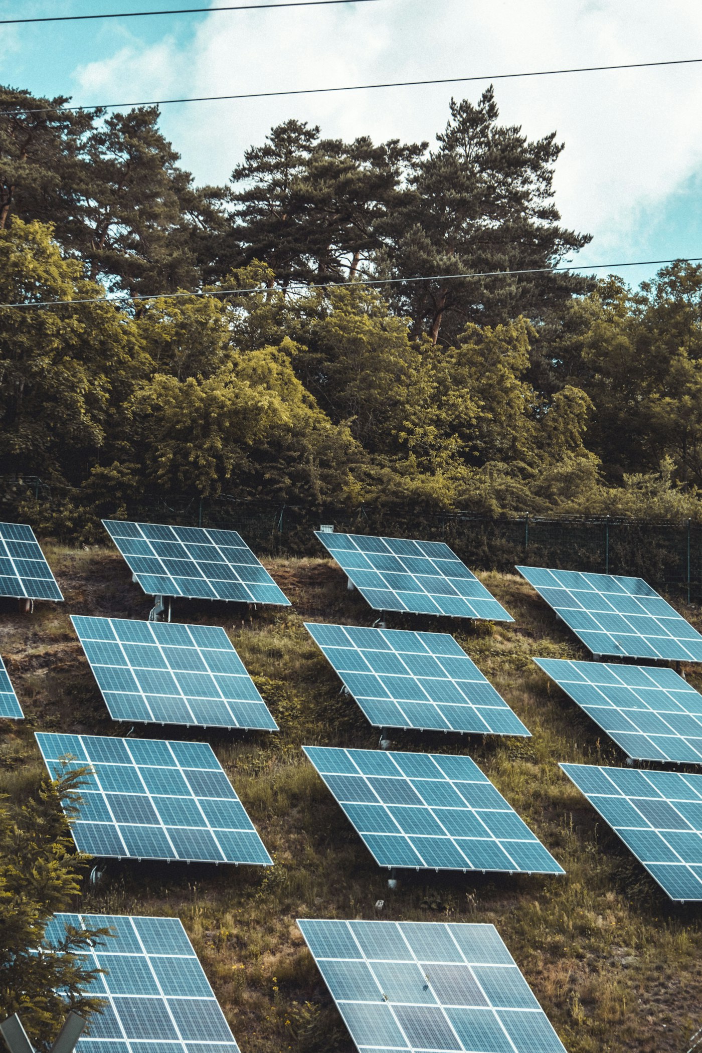 Rijen zonnepanelen in een groen landschap