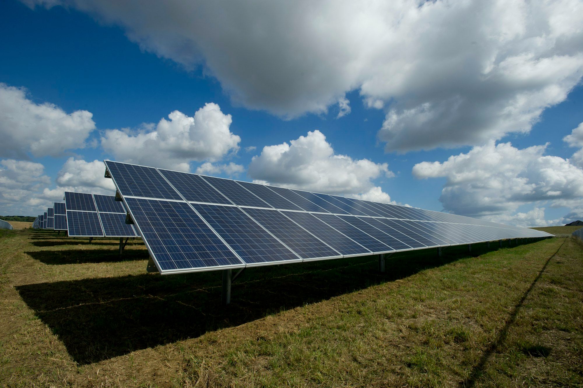 Rijen zonnepanelen in een veld